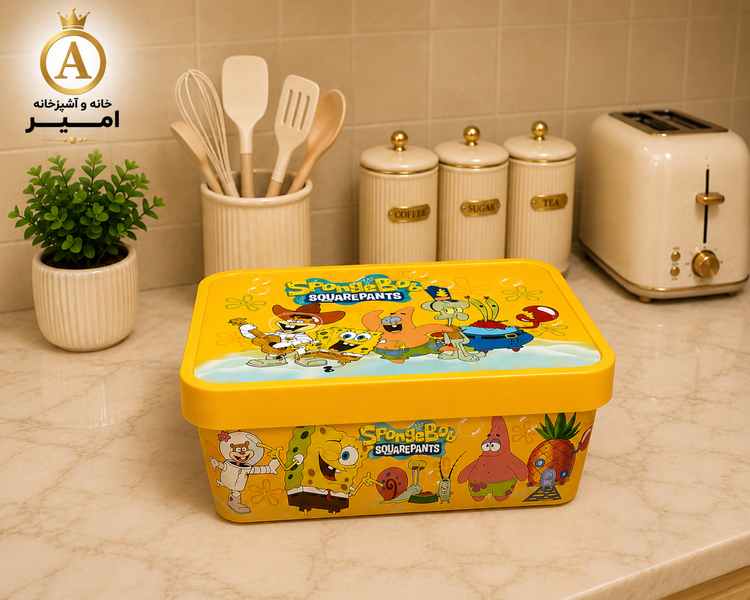 باکس نظم دهنده درب دار